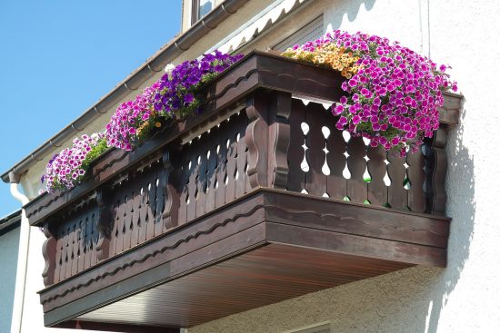 scopri le migliori piante da balcone per abbellire il tuo spazio esterno. scegli tra varietà fiorite e verdi per creare un'oasi di bellezza e relax nel tuo balcone.