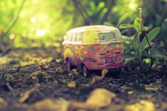 scopri il mondo affascinante delle piante in miniatura! dalla loro cura alle varietà più belle, esplora come arricchire il tuo spazio con piccole meraviglie verdi. perfette per ogni ambiente, le piante miniature portano gioia e vita in ogni angolo.