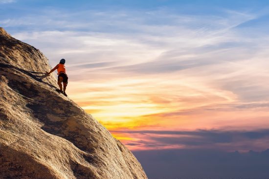 scopri il mondo affascinante delle piante rampicanti! dalla decorazione dei tuoi spazi esterni alla creazione di un ambiente accogliente, le piante rampicanti sono perfette per ogni giardino. leggi i nostri consigli per la scelta e la cura delle piante rampicanti ideal per il tuo ambiente.