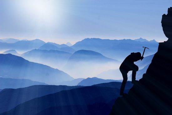 scopri le migliori piante da interno da arrampicata per abbellire la tua casa. queste verdure non solo purificano l'aria, ma aggiungono anche un tocco di natura e stile a qualsiasi ambiente. trova suggerimenti su come coltivarle e curarle.