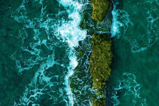 esplora il mondo dei giardini verticali, dove la natura si integra perfettamente con l'architettura. scopri come creare un'oasi verde in spazi ridotti, migliorando la qualità dell'aria e il benessere ambientale.