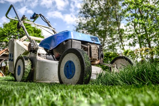 scopri l'arte dell'urban gardening: trasforma balconi e terrazzi in piccoli orti urbani. impara a coltivare piante, fiori e ortaggi anche in spazi ridotti, con consigli pratici e idee creative per rendere verde la tua città.
