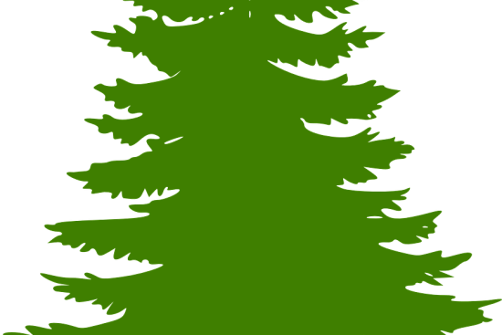 scopri il concetto di 'evergreen', una strategia brillante per contenuti sempre freschi e rilevanti nel tempo. esplora come queste idee senza tempo possono migliorare la tua comunicazione e il tuo marketing.