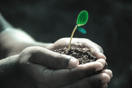 scopri l'importanza del suolo agricolo per le coltivazioni. approfondisci le tecniche di gestione e miglioramento della fertilità del terreno per ottimizzare i raccolti e sostenere l'agricoltura sostenibile.