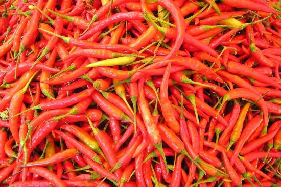 scopri il mondo vibrante del chili, un ingrediente essenziale nella cucina italiana e internazionale. approfondisci le varietà, le ricette e i benefici di questo peperoncino piccante, che aggiunge sapore e carattere ai tuoi piatti.
