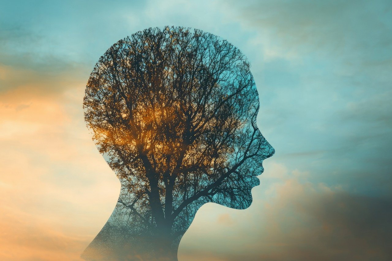 scopri il giardinaggio consapevole: un modo per connetterti con la natura, ridurre lo stress e coltivare il tuo spazio verde in modo sostenibile. unisciti a noi per apprendere tecniche e suggerimenti pratici per creare un giardino che nutre il corpo e la mente.