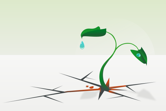scopri le piante resistenti alla siccità che abbelliranno il tuo giardino senza richiedere troppa acqua. scegli soluzioni eco-sostenibili per un paesaggio verde e rigoglioso, anche in periodi di scarsità d'acqua.