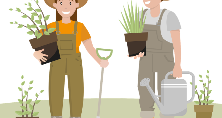 scopri come raggiungere un perfetto equilibrio nel giardinaggio con strategie innovative e tecniche pratiche. ottimizza il tuo spazio verde, migliora la salute delle piante e crea un ambiente armonioso e produttivo.