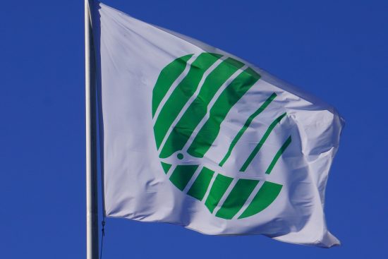 scopri il mondo degli ecolabel, speciali certificazioni che garantiscono prodotti ecologici e sostenibili, promuovendo scelte responsabili per il consumo e la salvaguardia dell'ambiente.