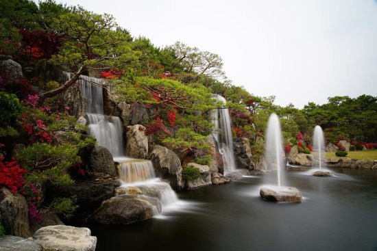 scopri le migliori piante da giardino estive per trasformare il tuo spazio all'aperto in un'oasi fiorita. idee e suggerimenti per un giardino vibrante e fresco durante la stagione calda.