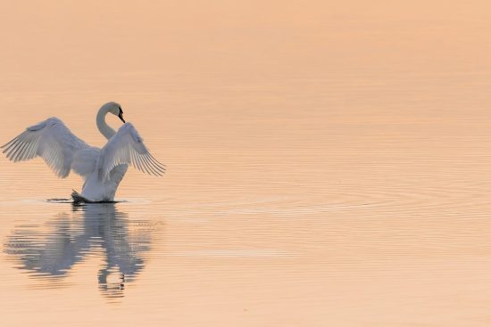 scopri l'importanza della conservazione dell'acqua e le strategie pratiche per ridurre lo spreco idrico. unitevi all'impegno per un ambiente più sostenibile e preservate le risorse idriche per le future generazioni.