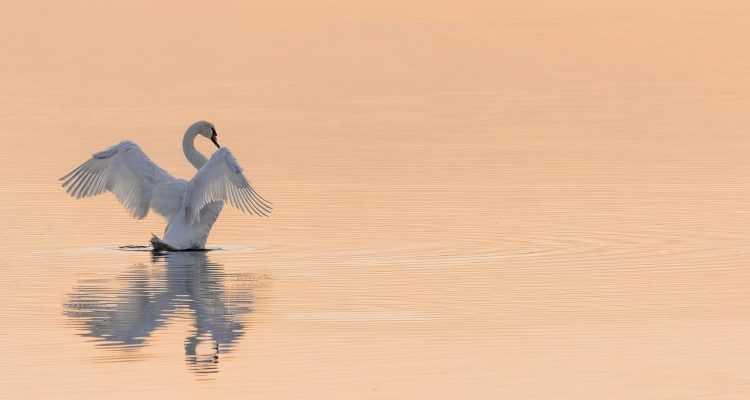 scopri l'importanza della conservazione dell'acqua e le strategie pratiche per ridurre lo spreco idrico. unitevi all'impegno per un ambiente più sostenibile e preservate le risorse idriche per le future generazioni.