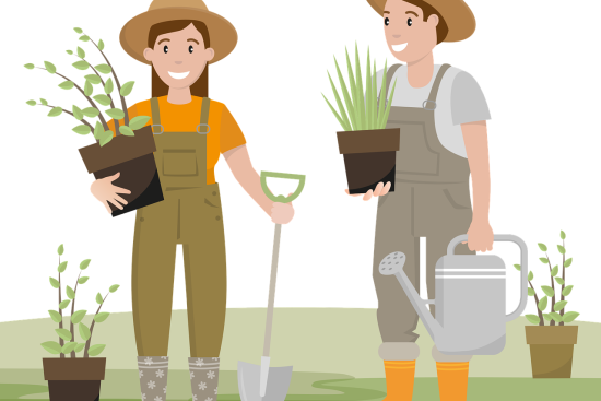 scopri i segreti del giardinaggio: suggerimenti per coltivare piante fiorite, ortaggi freschi e creare spazi verdi incantevoli. unisciti a noi nel viaggio per rendere il tuo giardino un angolo di paradiso.