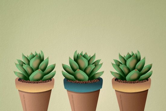 scopri il mondo dei succulenti: piante affascinanti e facili da curare, perfette per ogni ambiente. esplora varietà, consigli di coltivazione e idee per decorare il tuo spazio con queste meraviglie verdi.