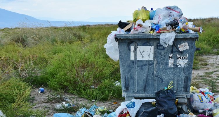 scopri come ridurre i rifiuti da giardino con semplici strategie e soluzioni ecologiche. approfitta di consigli pratici per il compostaggio, il riciclo e la gestione dei materiali organici per un giardino più sostenibile.