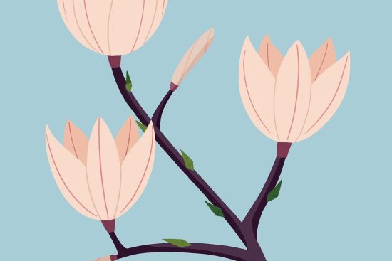 scopri il fascino e la bellezza del magnolia, un albero iconico conosciuto per i suoi fiori mozzafiato e il suo profumo avvolgente. esplora le diverse varietà e come curarli per abbellire il tuo giardino.