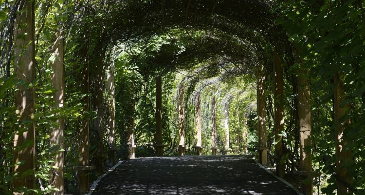 esplora la bellezza e la biodiversità dei giardini botanici, oasi di natura e scienza dove piante uniche e straordinarie fioriscono. scopri l'importanza della conservazione delle specie e immergiti in un'esperienza educativa e affascinante nel cuore della natura.